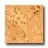 Natural Cork Cork Wall Tiles Cleopatra Cork Floori