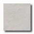 Tesoro Tropical 18 X 18 White Tile & Stone
