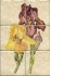 Interceramic Botanical Mural 8 X 12 Mural A Tile & Stone