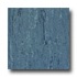 Armstrong Linodur Bristol Blue Vinyl Flooring