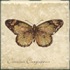 Interceramic Garden Guests Butterfly A - 4 X 4 Tile & Stone