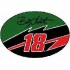 Strike Off Company, Inc Bobby Labonte Bobby Labonte Oval Rug 2 X