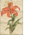 Interceramic Botanical Mural 8 X 12 Mural B Tile & Stone