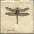 Interceramic Garden Guests Dragonfly A - 4 X 4 Tile & Stone