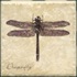 Interceramic Garden Guests Dragonfly B - 4 X 4 Tile & Stone