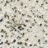 Fritztile Exotic Pearl Ep900 Twilight White Tile  and