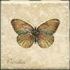 Interceramic Garden Guests Butterfly C - 4 X 4 Tile & Stone