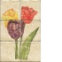 Interceramic Botanical Mural 8 X 12 Mural C Tile & Stone