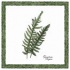 Interceramic Ferns Deco A - 6 X6 Tile & Stone