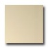Mohawk Colorations 4 X 4 Matte Ivory Lace Tile & Stone