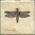 Interceramic Garden Guests Dragonfly C - 4 X 4 Tile & Stone