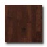 Robbins Urban Exotics Collection Strip Beech 2 1/4 Sierra Hardwo