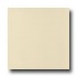 Mohawk Colorations 6 X 6 Gloss Ivory Lace Tile & Stone