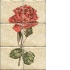 Interceramic Botanical Mural 8 X 12 Mural D Tile & Stone