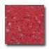 Santa Regina Accent 24 X 24 (polished) Poinsettia Terrazzo Tile