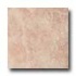Ragno Marmi Di Rapolano 20 X 20 Sarteano Ro Tile & Stone