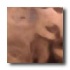 Crossville Questech Metals Copper 4 X 4 Country Polished Tile &