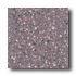 American Olean Egyptstones Unglazed Mosaic Dynasty Rose Tile & S