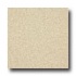 Armstrong Medintech Homogeneous Carthamus Champagne Vinyl Floori