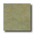 Eliane Athena 16 X 16 Olive Tile & Stone