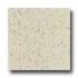 Daltile Granati Polished 12 X 12 Bianco Sardo Tile & Stone