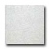 Amtico Standard Stardust 12 X 12 Stardust White Vinyl Flooring