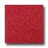 Amtico Standard Stardust 12 X 12 Stardust Poppy Vinyl Flooring