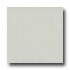 Amtico Pure Plain 12 X 12 Pure Plain Putty Vinyl Flooring