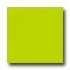 Amtico Pure Plain 12 X 12 Pure Plain Kiwi Vinyl Flooring
