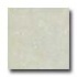 Amtico Parvia Stone 12 X 18 Parvia Stone Vinyl Flooring