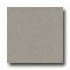 Amtico Microspec 12 X 12 Microspec Mortar Vinyl Fl