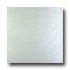 Amtico Urban Metal 12 X 12 Urban Metal Frost Vinyl