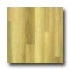 Amtico Blond Oak 4 1/2 X 36 Blonde Oak Vinyl Flooring