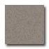 Amtico Microspec 12 X 12 Microspec Mud Vinyl Floor