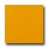 Amtico Pure Plain 12 X 12 Pure Plain Juice Vinyl F