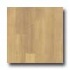 Amtico White Oak 4 1/2 X 36 White Oak Vinyl Flooring