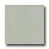 Amtico Microspec 12 X 12 Microspec Putty Vinyl Flo