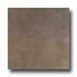 Tilecrest Contemporary 12 X 12 Gray Tile & Stone