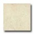 Amtico Tivoli 18 X 18 Tivoli Stone Vinyl Flooring