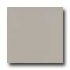 Amtico Pure Plain 12 X 12 Pure Plain Mortar Vinyl Flooring