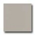 Amtico Pure Plain 12 X 12 Pure Plain Mortar Vinyl