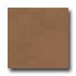 Amtico Standard Stained Concrete 12 X 18 Stained Concrete Tan Vi