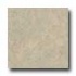 Amtico Fossil Limestone 18 X 18 Fossil Limestone Vinyl Flooring