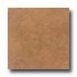 Daltile Cliff Pointe 18 X 18 Redwood Tile & Stone