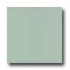 Amtico Pure Plain 12 X 12 Pure Plain Kelp Vinyl Flooring