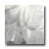 Metal Border Pure Metal 20 X 20 Graffiato/brushed