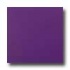 Amtico Pure Plain 12 X 12 Pure Plain Grape Vinyl Flooring