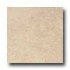 Amtico Garcia Stone 12 X 18 Garcia Stone Vinyl Flooring