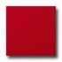 Amtico Pure Plain 12 X 12 Pure Plain Poppy Vinyl Flooring