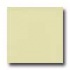 Amtico Pure Plain 12 X 12 Pure Plain Flax Vinyl Flooring